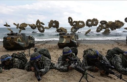 Quân đội Mỹ, Hàn chuẩn bị tập trận chung &#39;Dong Maeng 19-2&#39;