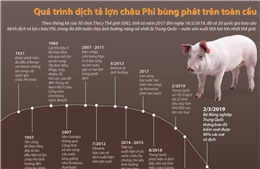 Quá trình dịch tả lợn châu Phi bùng phát trên toàn cầu