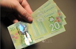 Đồng nội tệ của Canada mất giá mạnh