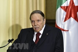 Tổng thống Algeria tuyên bố không tranh cử nhiệm kỳ thứ 5