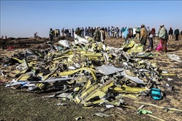Đức từ chối phân tích hộp đen Boeing 737 MAX 8 gặp nạn