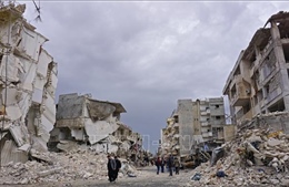 Syria đề cao chủ quyền trong giải pháp chính trị chấm dứt xung đột