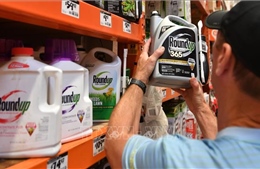 Tòa án liên bang Mỹ kết luận thuốc diệt cỏ Roundup của Monsanto gây ung thư