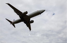 Ethiopian Airlines &#39;phản pháo&#39; thông tin về cơ trưởng Boeing 737 MAX gặp nạn