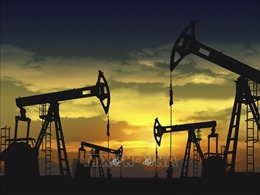 Giá dầu thế giới giảm gần 1%