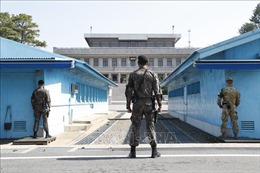 Mở &#39;đường đi bộ hòa bình&#39; trong Khu phi quân sự liên Triều