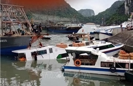 Chìm tàu chở khách du lịch tuyến Vân Đồn - Cô Tô