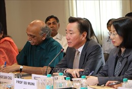 Ấn Độ và Việt Nam có thể đạt được nhiều mục tiêu địa kinh tế thông qua hợp tác hàng hải