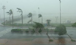 Từ chiều 9/10, gió giật cấp 9 ở vùng ven biển Quảng Ninh đến Hà Tĩnh