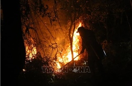 Cháy rừng trong đêm ở Điện Biên, huy động hàng trăm người dập lửa