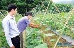 Thực hiện chính sách giảm nghèo bền vững cho các huyện miền núi ở Quảng Ngãi