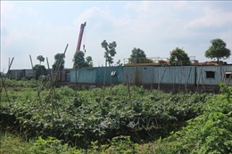Khắc phục vi phạm trên đất nông nghiệp tại huyện Hoài Đức, Hà Nội