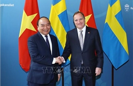 Phát triển quan hệ thương mại - đầu tư giữa Việt Nam và Thụy Điển tương xứng tiềm năng