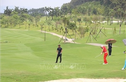 Tháng 7 sẽ diễn ra 3 giải Golf quốc gia nghiệp dư tại Cam Ranh