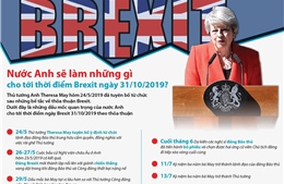 Nước Anh sẽ làm những gì cho tới thời điểm Brexit ngày 31/10/2019?
