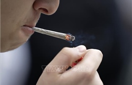 Mỹ có kế hoạch giới hạn lượng nicotine trong thuốc lá