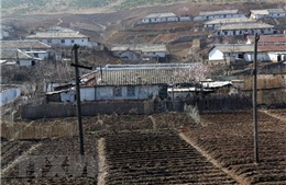 Hạn hán hoành hành tại Triều Tiên