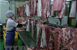 Hà Nội chủ động kiểm soát cơ sở giết mổ lợn, bình ổn giá thị trường