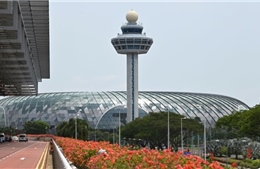 Thiết bị bay không người lái gây rối loạn sân bay Changi, Singapore