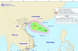 Vùng áp thấp đã mạnh lên thành áp thấp nhiệt đới, gió giật cấp 8