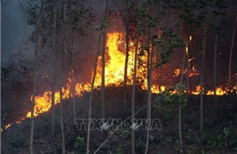 Huy động trên 500 người dập tắt đám cháy rừng tại Quảng Bình