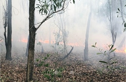Dập tắt vụ cháy rừng trồng nguyên liệu ở Quảng Nam