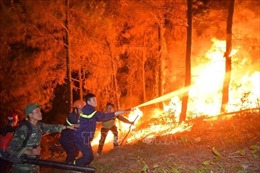 Rà soát, thống kê dư nợ vay bị thiệt hại do cháy rừng để hỗ trợ 