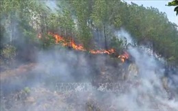 Khởi tố đối tượng liên quan đến vụ cháy rừng ở huyện Hương Sơn, Hà Tĩnh