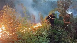 Xử lý nghiêm các hành vi gây cháy rừng ở Phú Yên