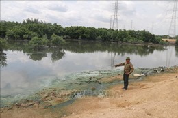 Người nuôi trồng thủy sản bức xúc vì doanh nghiệp xả thải ra môi trường