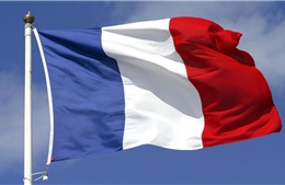 Điện mừng nhân kỷ niệm Quốc khánh Cộng hòa Pháp​