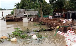Sóc Trăng: Khẩn trương khắc phục sạt lở tại huyện Long Phú