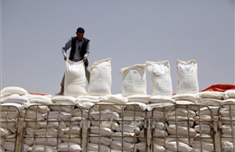 LHQ và phiến quân Houthi ký thỏa thuận nối lại viện trợ lương thực tại Yemen