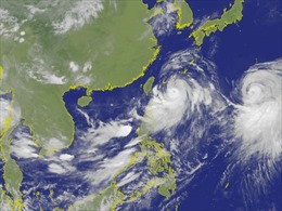 Đài Loan (Trung Quốc) chuẩn bị đón bão mạnh