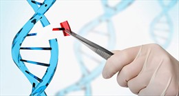 WHO tăng cường giám sát hoạt động nghiên cứu chỉnh sửa gien người 