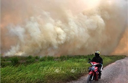 Cháy rừng dữ dội ở Indonesia, hàng nghìn người làm lễ cầu mưa