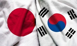 Hàn Quốc khiếu nại lên WTO biện pháp siết chặt xuất khẩu của Nhật Bản