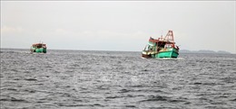 Bộ NN& PTNN sẽ kiểm tra thực tế việc ngư dân tự hoán cải tàu cá