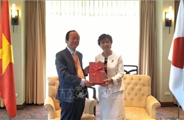 Nhật Bản ủng hộ các ưu tiên môi trường trong năm Việt Nam làm Chủ tịch ASEAN 2020