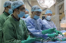 Việt Nam làm chủ kỹ thuật thay van động mạch qua da
