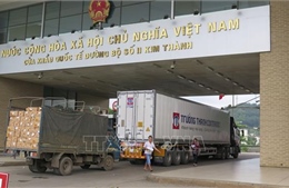 Lào Cai siết chặt quản lý người điều khiển phương tiện vận tải hàng hóa từ các địa phương có dịch 