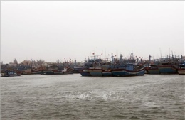 Đà Nẵng: Mưa lớn trên diện rộng do ảnh hưởng bão số 5