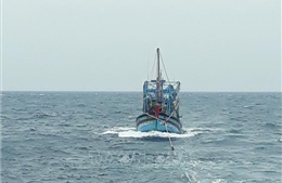 Cấp cứu kịp thời hai ngư dân bị tai nạn trên biển