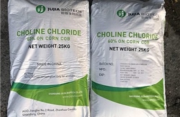 Ấn Độ điều tra chống bán phá giá sản phẩm phụ gia chăn nuôi Choline Chloride