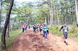 Trên 6.000 vận động viên tranh tài giải chạy băng rừng ở Lâm Đồng