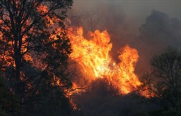 Cháy rừng ​hoành hành khắp miền Đông Australia