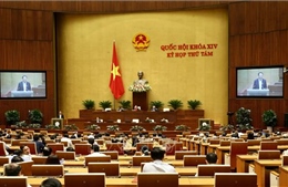  Sáng 12/11, Quốc hội thảo luận Báo cáo nghiên cứu khả thi dự án sân bay Long Thành giai đoạn 1