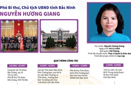 Bà Nguyễn Hương Giang được bầu giữ chức Chủ tịch UBND tỉnh Bắc Ninh