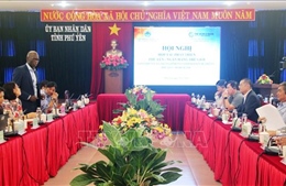 Ngân hàng Thế giới sẵn sàng hợp tác với tỉnh Phú Yên