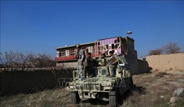 Mỹ tạm dừng đàm phán với Taliban